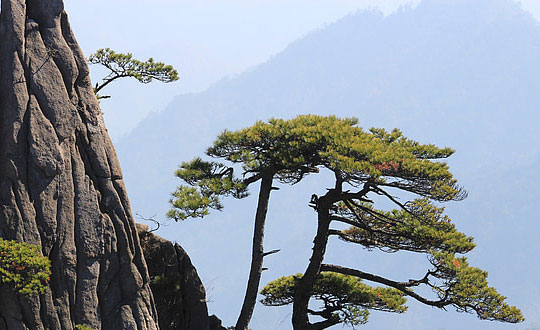 唐詩宋詞起名男孩名字,獨(dú)特霸氣的新生兒名字