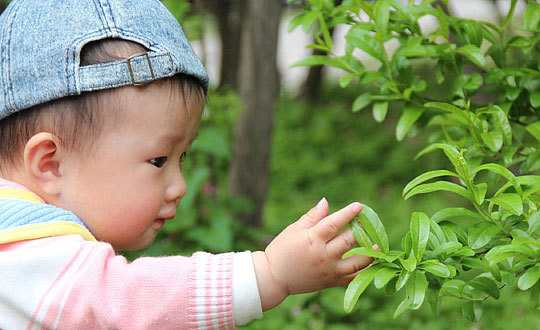 小名乳名大全：女孩的小名有哪些好聽的？