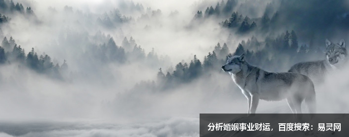 測繪公司名字大全參考