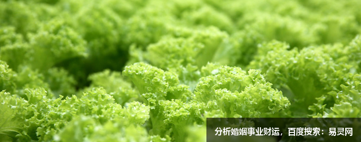女生游戲名字簡單干凈霸氣三個字