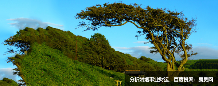 吳亦凡案開庭，吳亦凡名字解析，打分