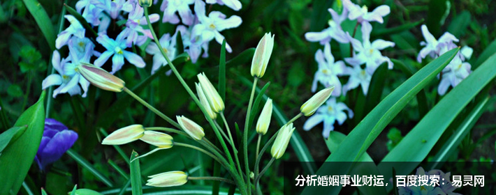 女孩溫柔文靜詩(shī)意的名字大全（大名+小名）