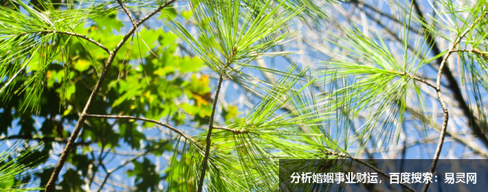 說了多少遍英文名字別亂取，別不小心成了老外眼里的“鐵柱”