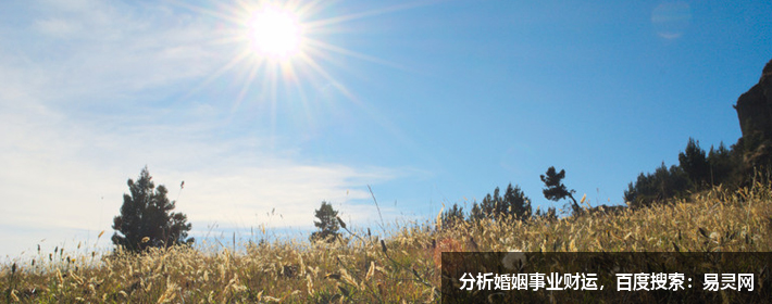 免費取名字（在線生辰八字起名）