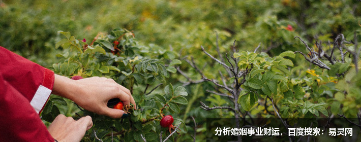 取個充滿童趣的網名過六一吧，讓你的小伙伴看了會心一笑。