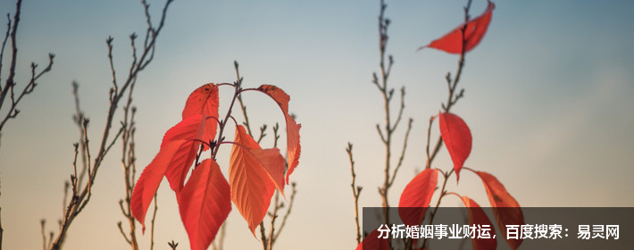 唐姓取名字大全