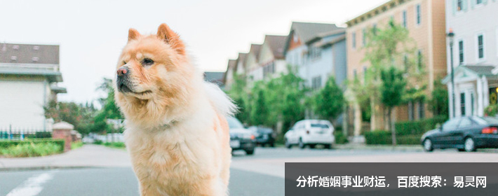 楊姓簡單寓意好的名字有哪些？