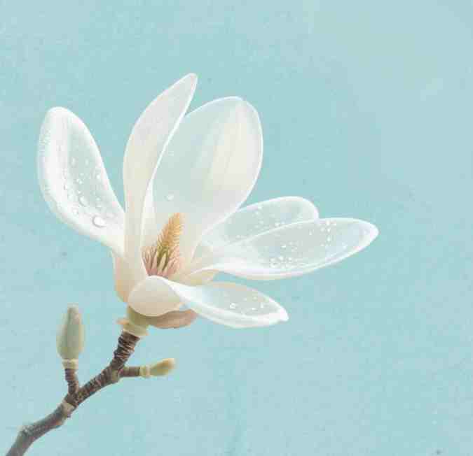 郭晉安回應和歐倩怡離婚:郭晉安名字測試打分,解析~