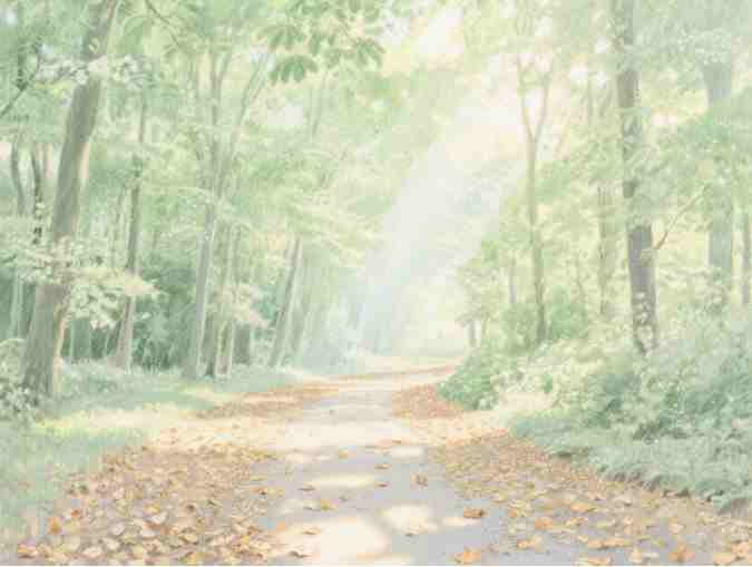 店鋪起名丨旅行社起名高端有創意