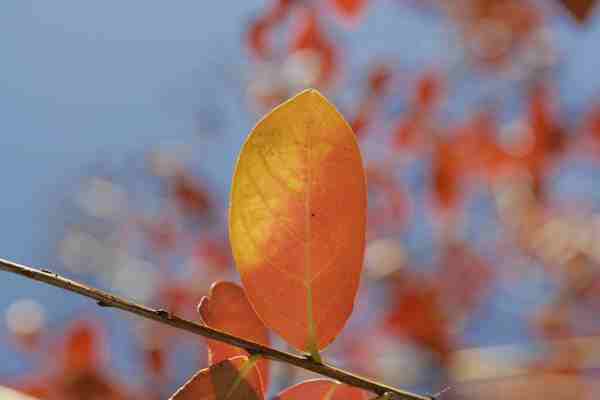 公司取名丨簡單好記的資產管理公司名字