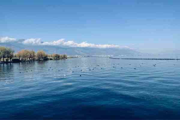 閨蜜網名大全2020特別新版的