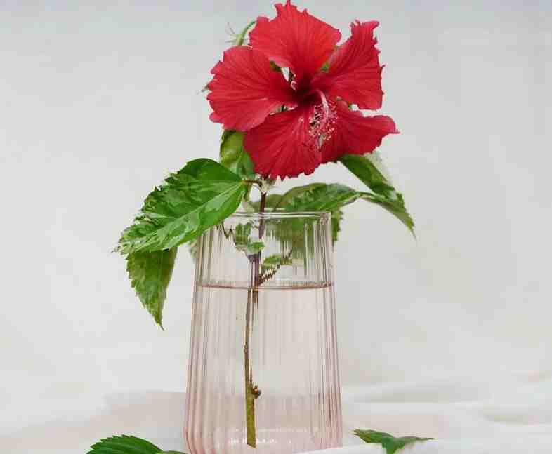 網名丨取一個長期不換的寓意網名