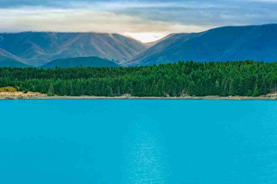 《梟起青壤》對抗路大女主聶九羅名字測試打分，解析~