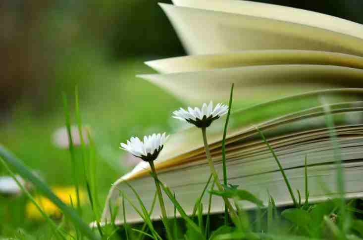 三角洲跑刀的專屬名字  三角洲行動搞笑ID