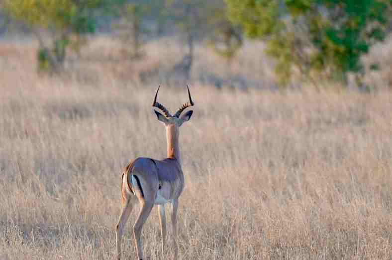 網名丨自由散漫的簡單網名