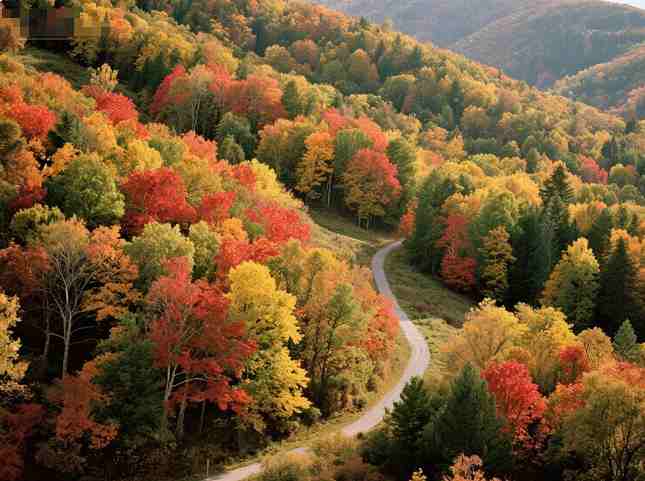 有趣到让人想改名，这些微信昵称太会了