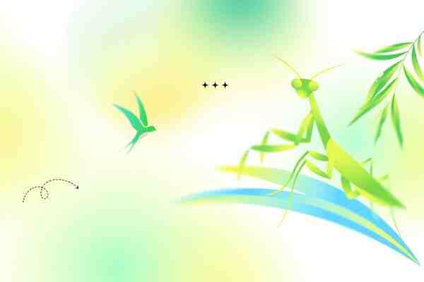 以茶取個微信名，好聽到爆