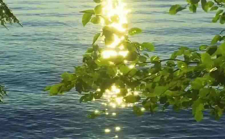 《剥茧》开播炸场!男主齐思哲名字测试打分，解析~