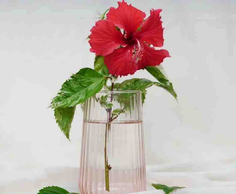 低调奢华有内涵的群名，真的很有范~