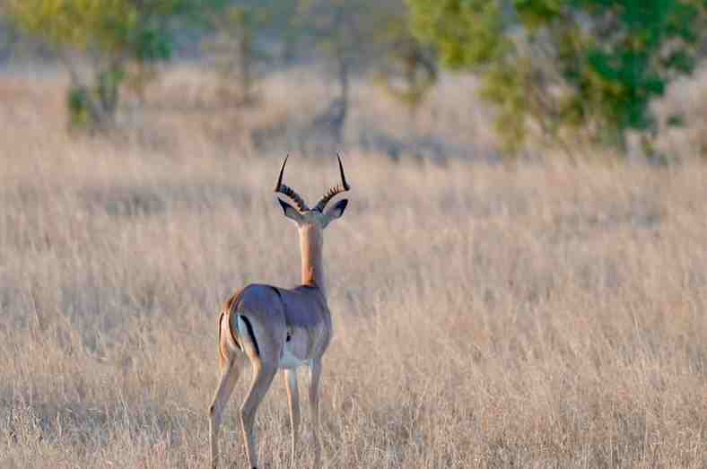 公司起名丨寓意昌盛的公司名