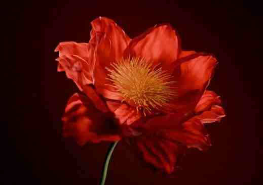 游戲起名丨奇跡覺醒情侶名字四個字，超可愛！