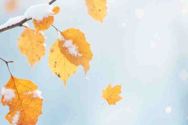 網名丨關于月的詩意網名ID