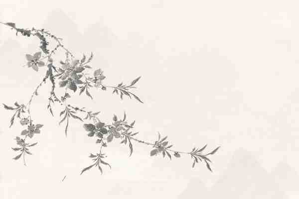 店鋪起名丨寓意發財和吉祥的花店名字