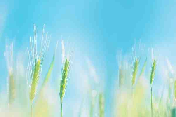 游戲起名丨四個字勵志洛克王國游戲取名