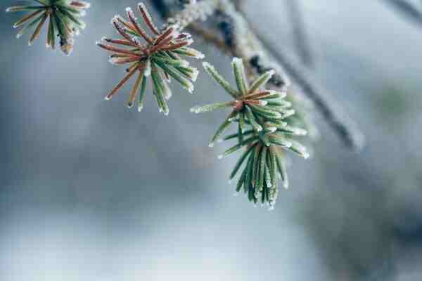 取个又癫又贱又抽象の网名