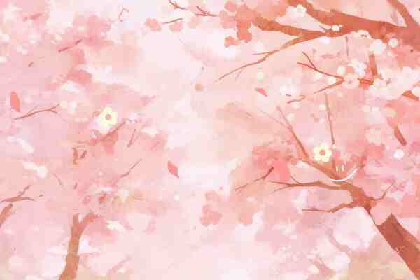 好听又冷门的王者id