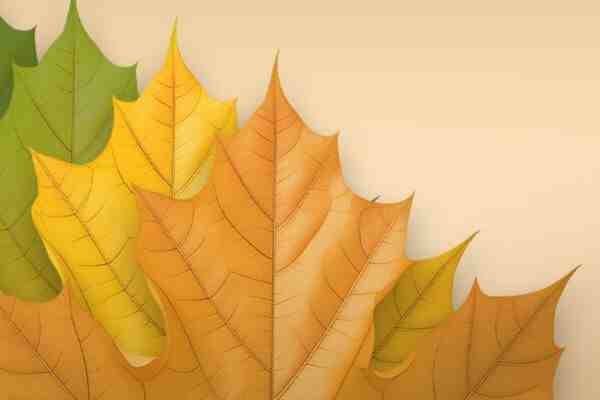 旺生意的名字餐飲店取名，這些名字真不錯(cuò)~