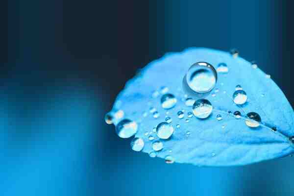 游戲名丨王者榮耀霸氣超拽英文名字