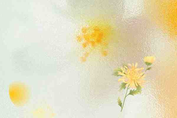 网名丨根本换不过来的二字网名