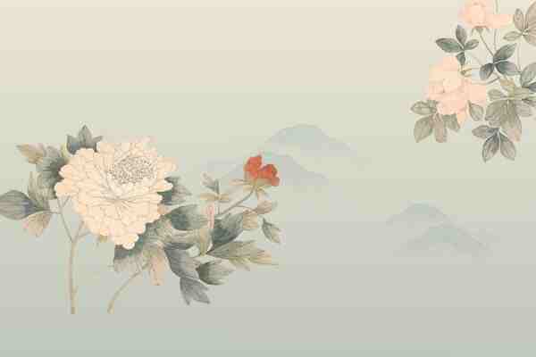 网名丨100个傻fufu但可可爱爱的网名ID