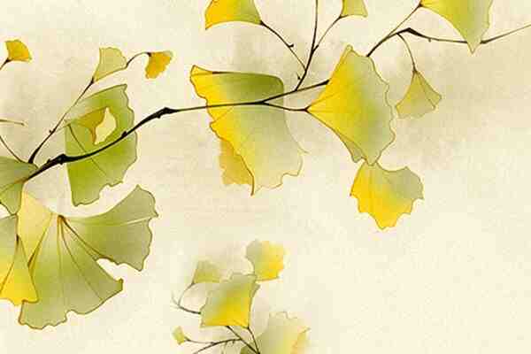 满眼遗憾的意难平网名ID有哪些？