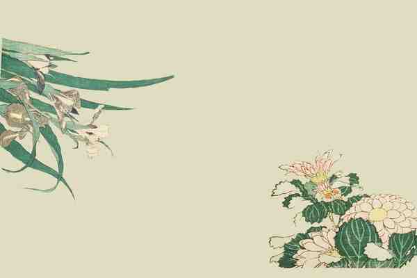 店鋪起名丨蔬菜店旺生意的名字