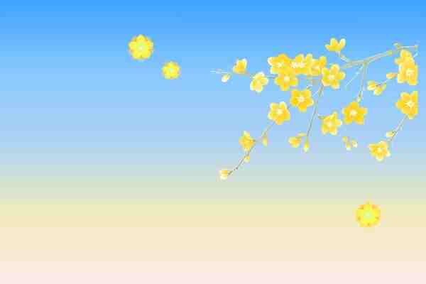 網名起名，藏在詩詞里的超美網名ID