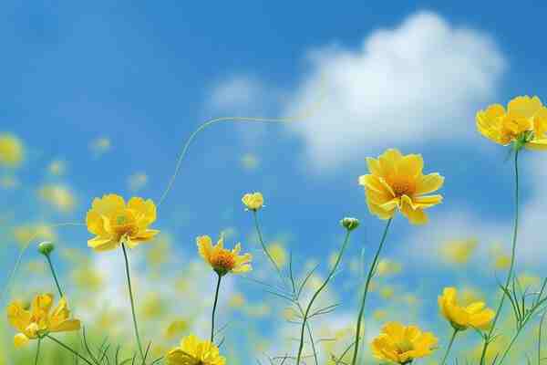 店铺起名丨 奶茶店名字洋气点的