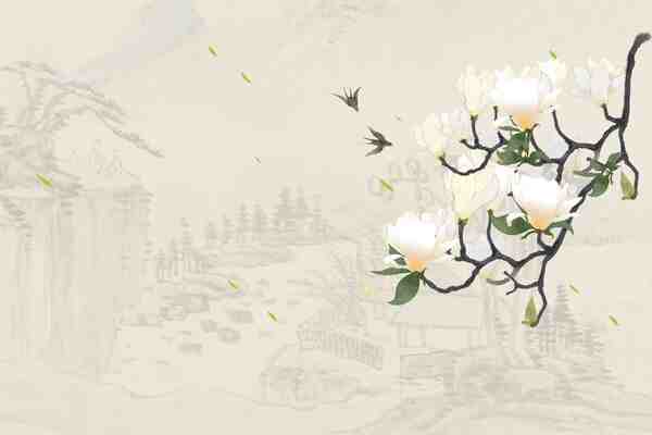 高级大气女装店名 女装网店名字简约大方