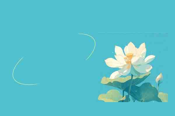 网名丨令人心动的网名ID