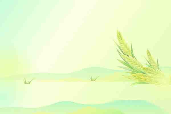 用姓氏取个班味很浓的网名