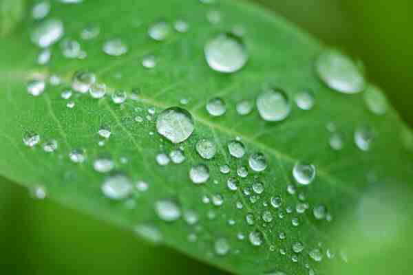 公司起名丨大气的科技公司名字