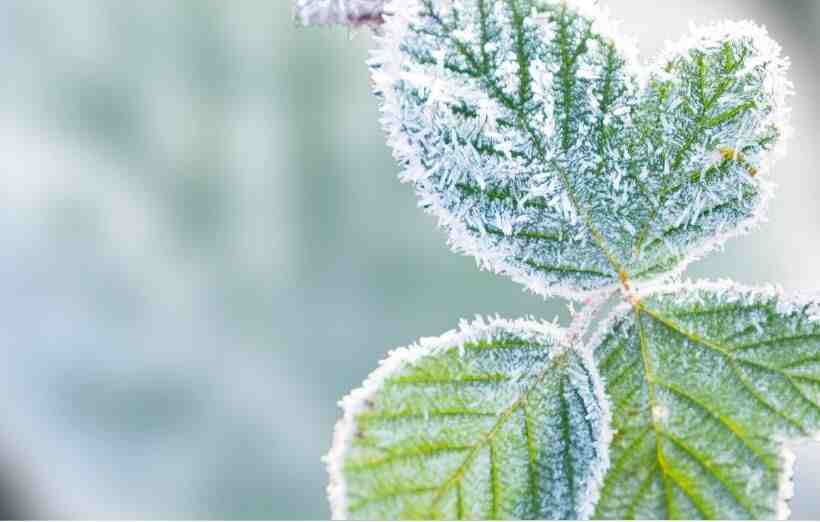 网名起名丨75属兔很旺的微信名