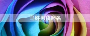 2022屬虎男孩最吉利的名字:精選姓馬男孩有志氣的名字