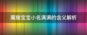 屬豬寶寶小名滿滿的含義解析 ，個性洋氣的乳名