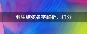 羽生結弦將宣布退役，羽生結弦名字解析、打分