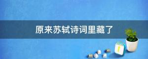 原來蘇軾詩詞里藏了這么多超仙古風網名游戲名