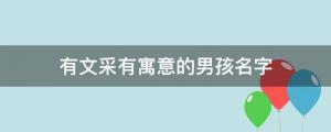 有寓意的名字：有文采寓意的男孩名字，愿寶寶未來可期
