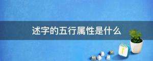 述字的五行属性是什么