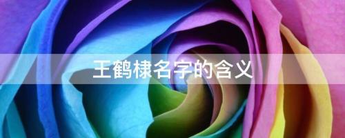 王鶴棣訂婚沖上熱搜，王鶴棣名字解析、打分